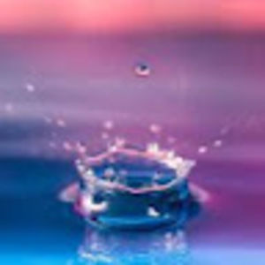 Meet your Posher, Thea